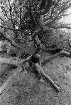 Deep Roots & Many Moons - Cazenovia College Chapman Art Center Gallery