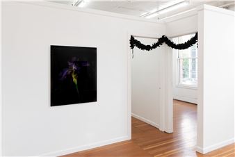 Sarah Meadows: Tanglefoot - Melanie Flood Projects