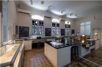 “Post-Human Narratives: In the Name of Scientific Witchery”