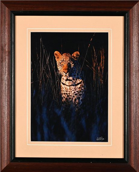 Leopard - Colin Mead