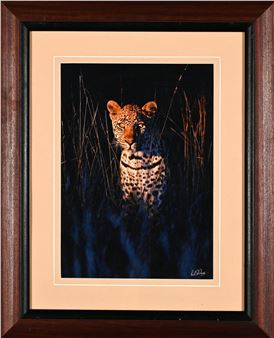 Leopard - Colin Mead