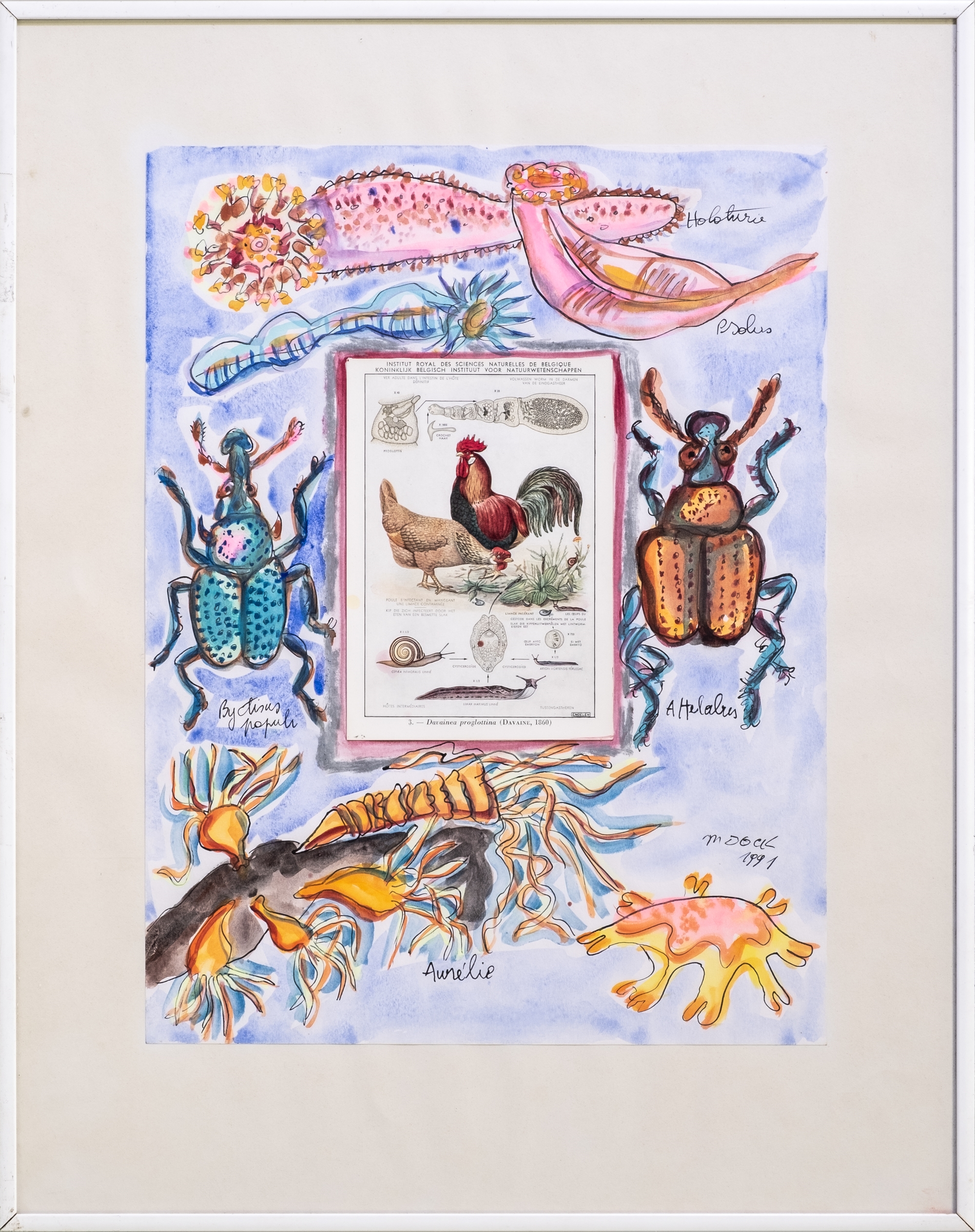 Artwork by Marianne Dock, Holoturie, Made of Watercolor and collage on paper