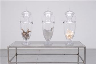 forever - Koen Vanmechelen