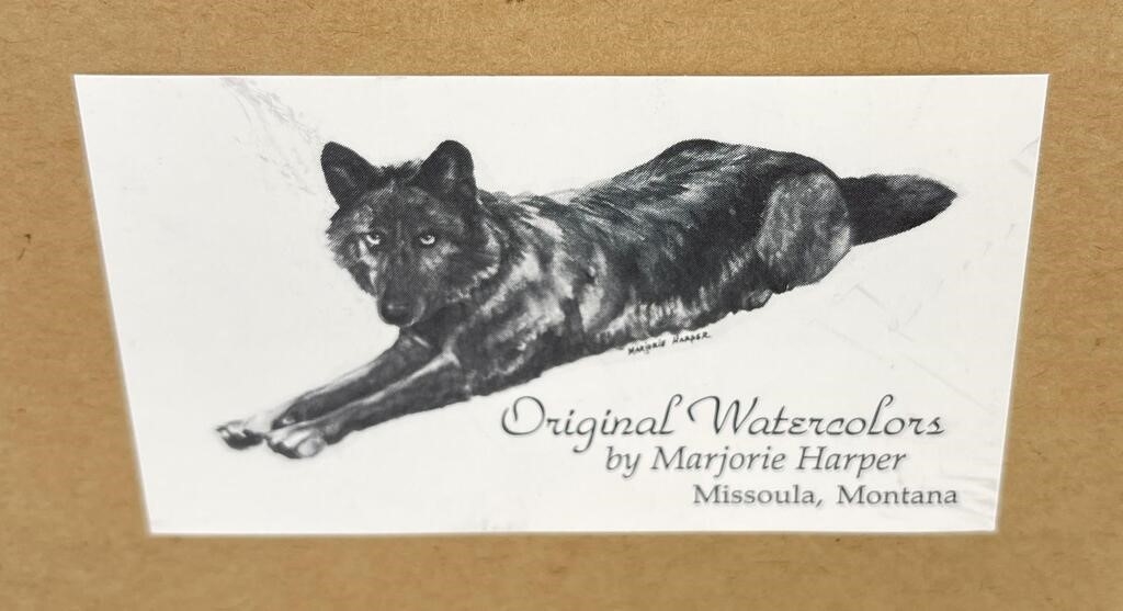 Artwork by Marjorie Harper, Montana  Bear, Made of Watercolor Painting