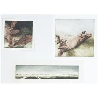 Rollend paard, Verontruste vleermuizen II en Polderlandschap - Ton Diekstra