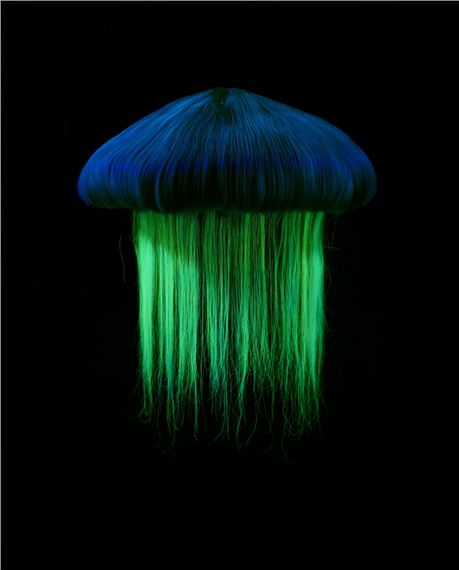 CHARLIE LE MINDU 
Fluorescent Species