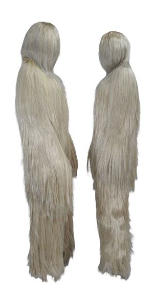 CHARLIE LE MINDU
L'hydne hérisson / Lion's Mane