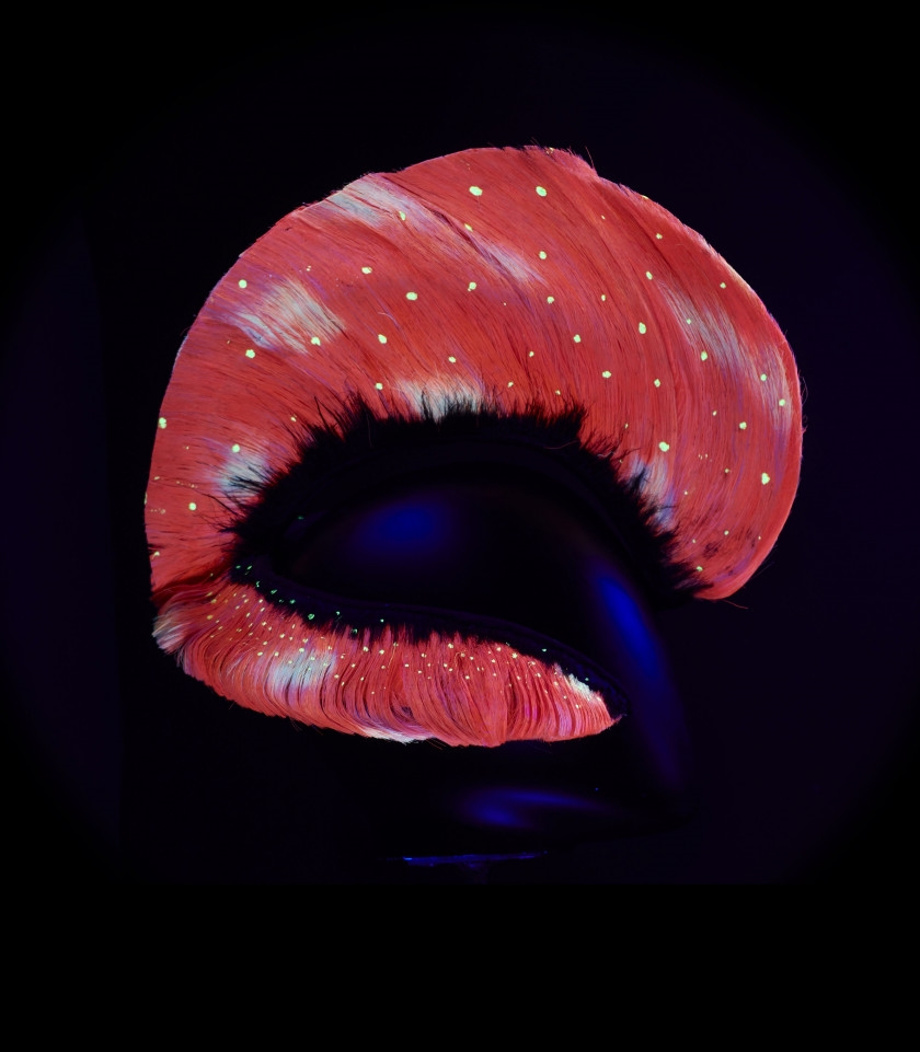 Artwork by Charlie le Mindu, CHARLIE LE MINDU 
Fluorescent Species, Made of colours