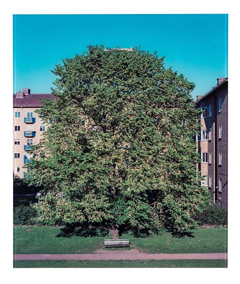 "Funderingar i det gröna"