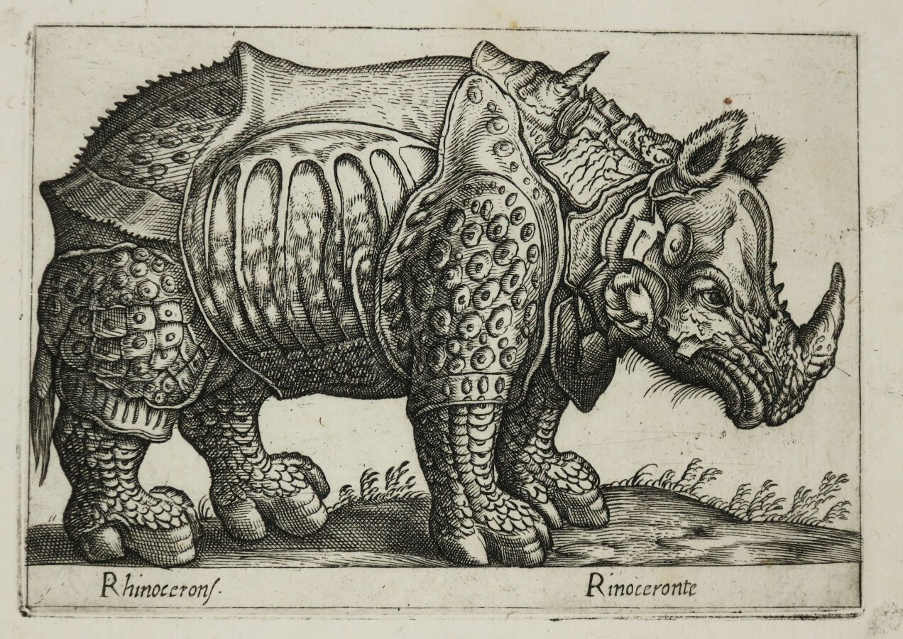 Artwork by Albrecht Dürer, Antonio Tempesta, Rhinocerons/Rinoceronte, Made of Etching engraved