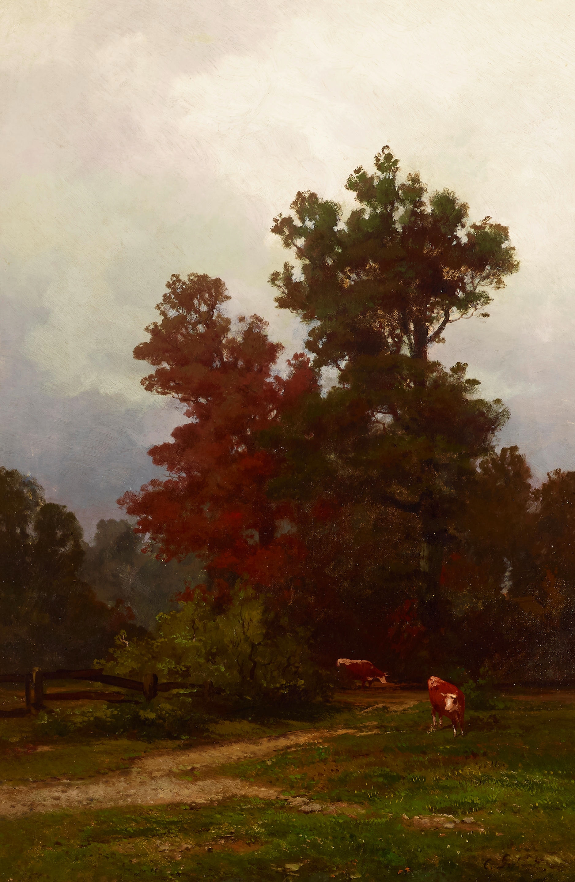 Carl Adolf Rudolf Julius von Perbandt | Murphy's ranch near Santa Clara ...