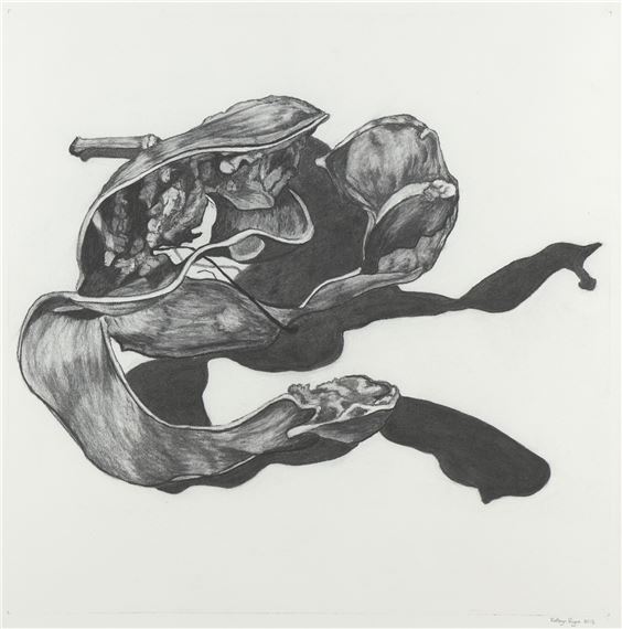 Seed Pod + Shadow # by Kathryn Ryan, 2013