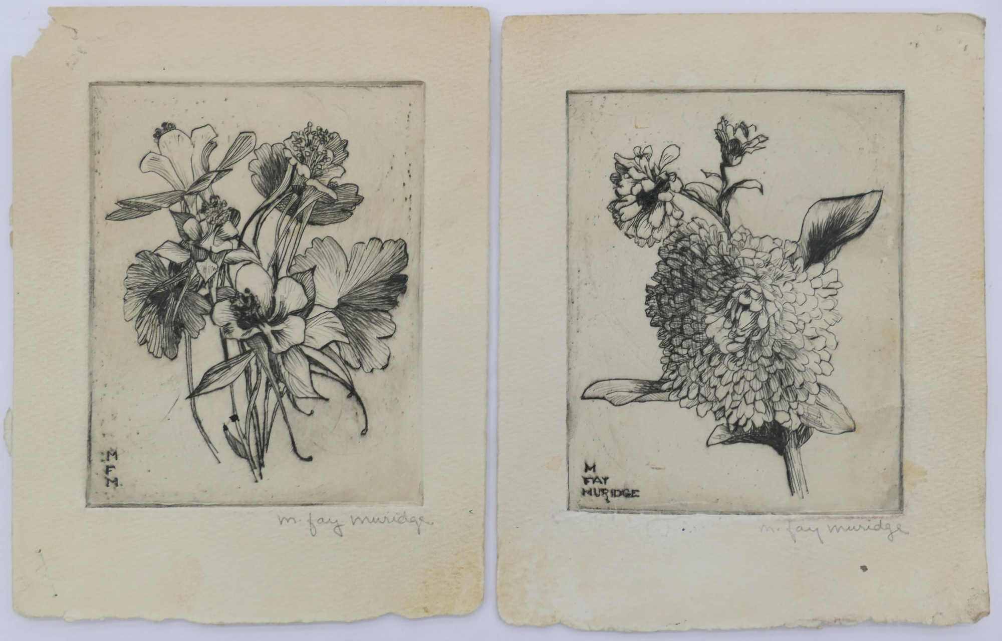 Artwork by Marie Fay Muridge, BOTANICAL, Made of Etchings