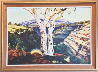 White Gum - Vlase Zanalis