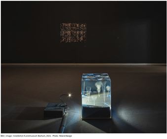 Friederike Klotz - Galerie M + R Fricke