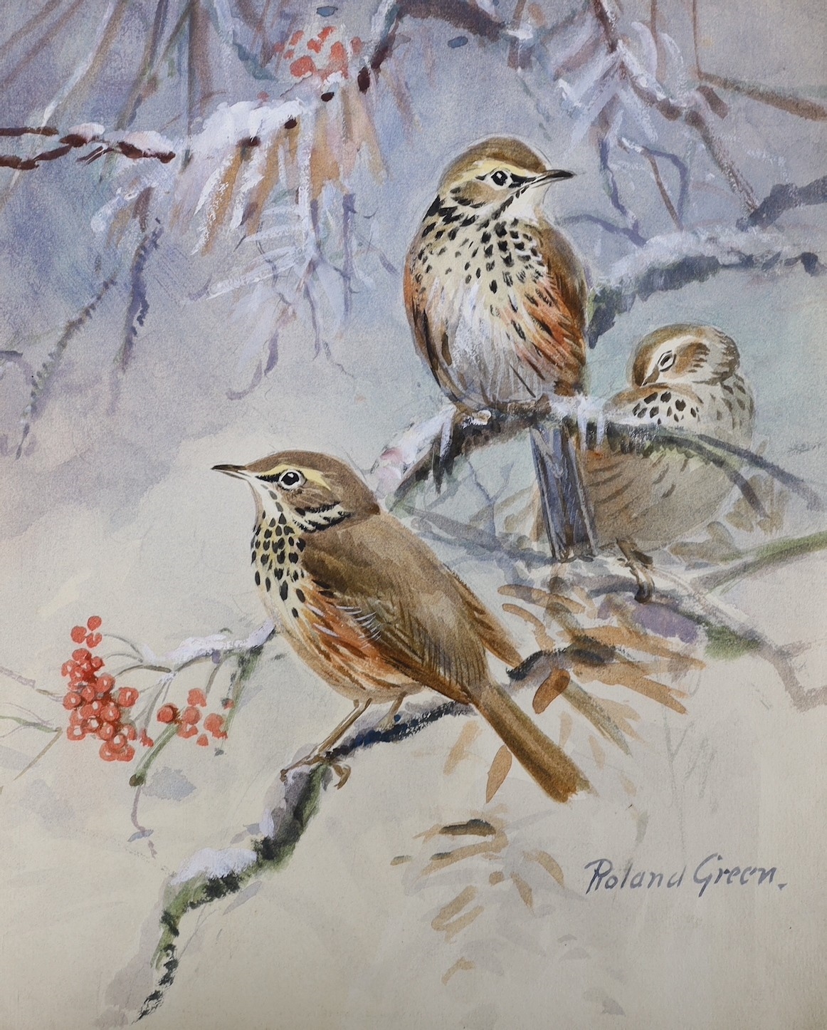 Roland Green Garden birds MutualArt