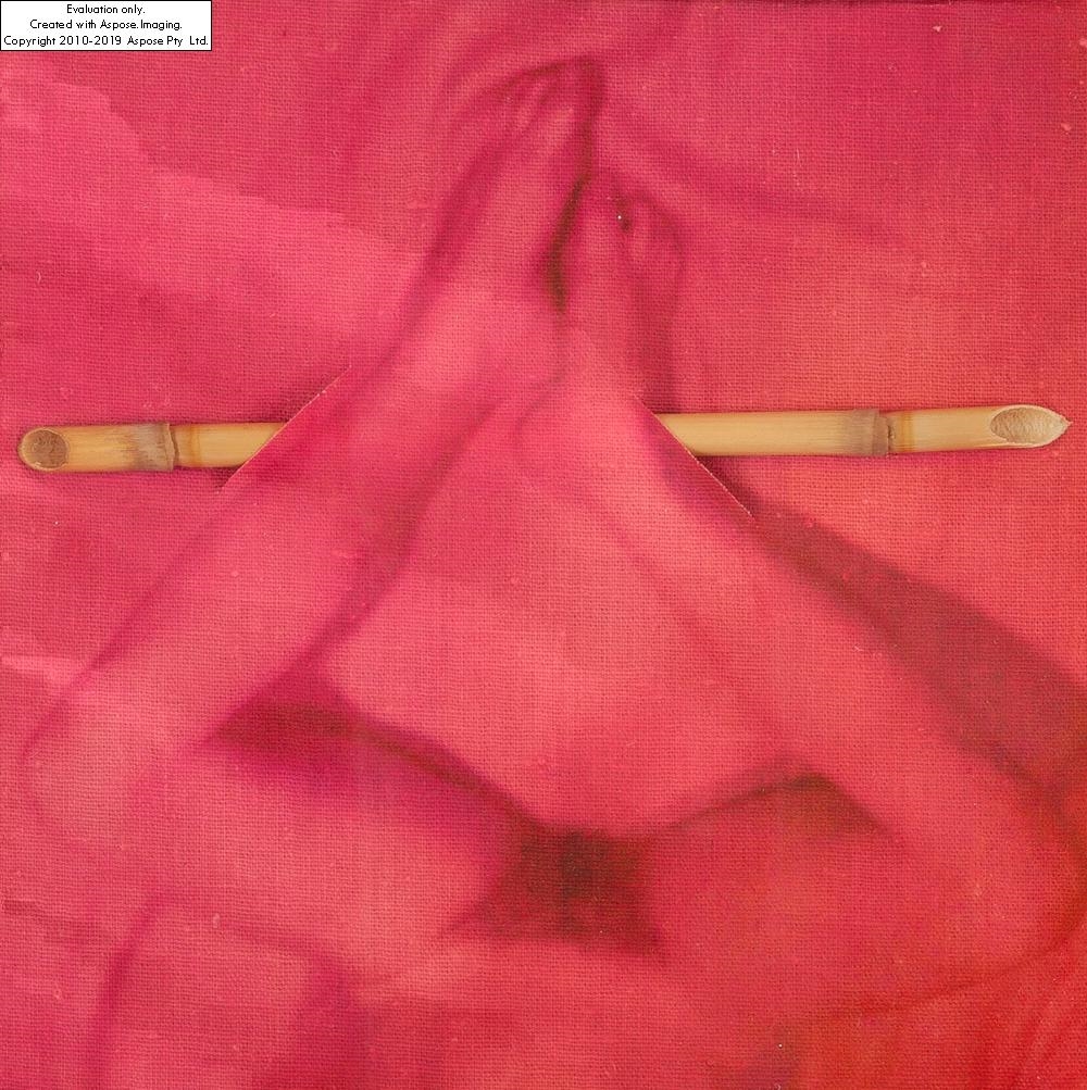 Artwork by Grzegorz Kowalski, Reeds, Made of photography, cane