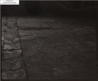 The Secret Performance I - Mikołaj ǳń쾱