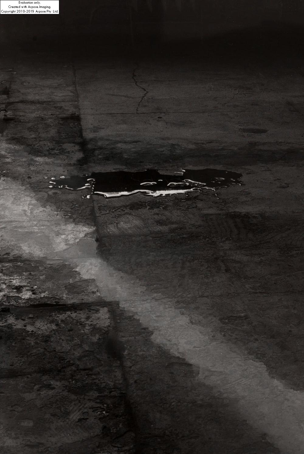 Artwork by Mikołaj Smoczyński, The Secret Performance II, Made of gelatin-silver print, vintage print/photographic paper