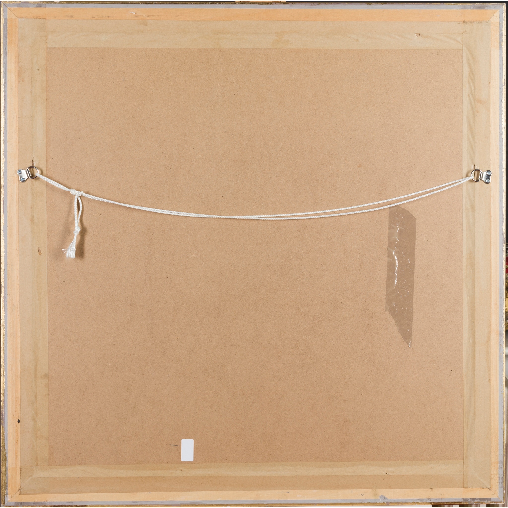 Artwork by Brenda Lenaghan, A SILVER PARROT, A DAPPLED GREYHOUND, Made of oil on board