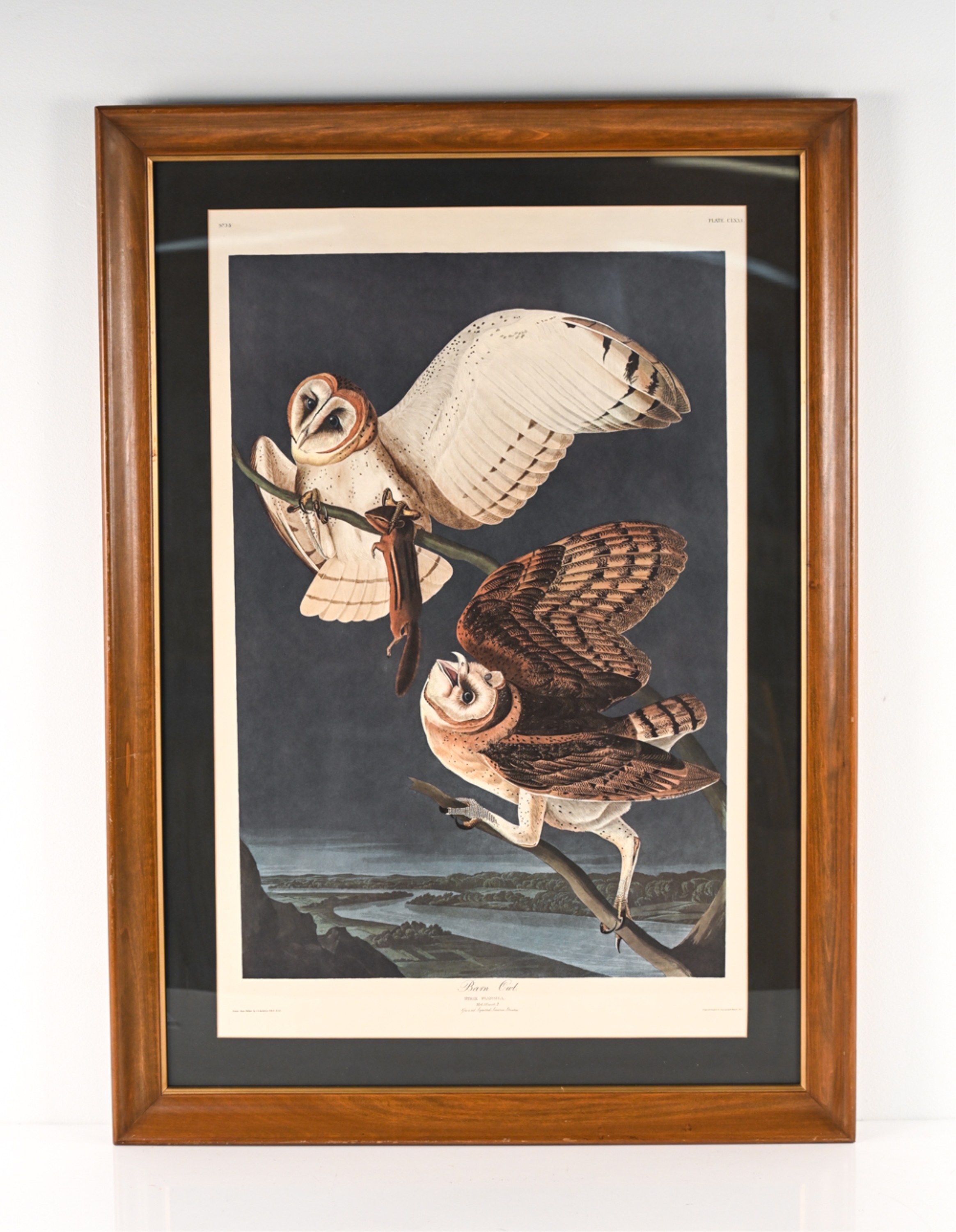 AFTER J.J. AUDUBON BARN OWL PRINT by John James Audubon