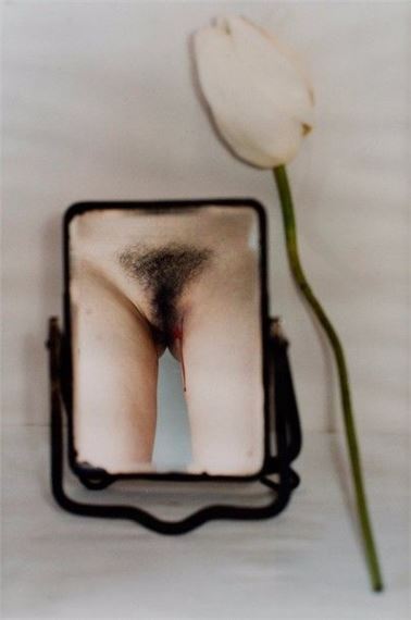 Série Twelve Flower Months by Chen Lingyang, 1999-2000