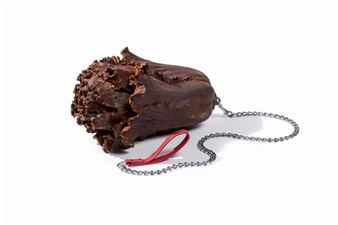 Chou avec laisse, Walking the Cabbage - Han Bing