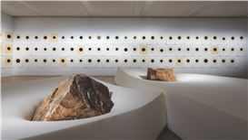 Studies in Contrast: Ahmet Doğu İPek at Arter
