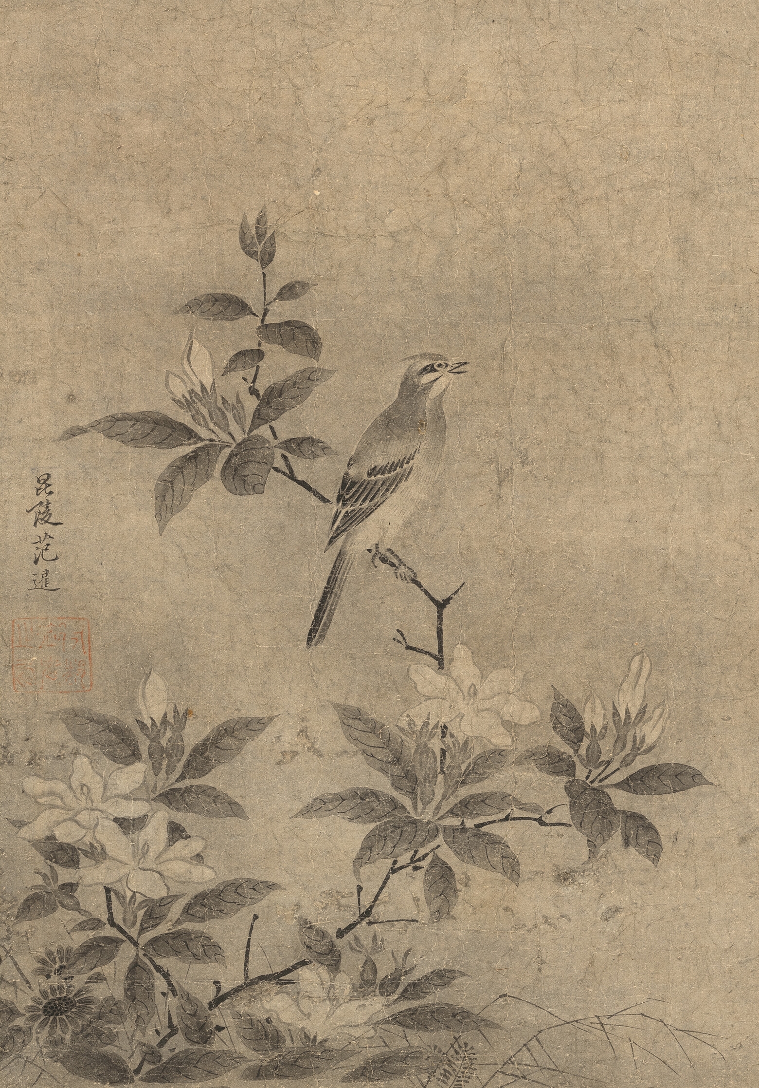 Artwork by Fan Xian, Sketching rare birds, Made of paper