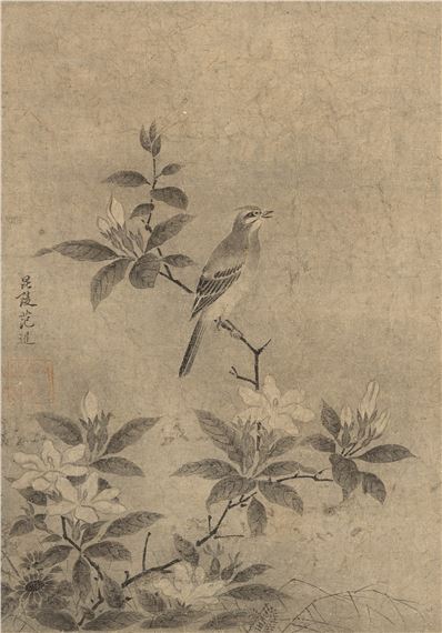 Sketching rare birds - Fan Xian