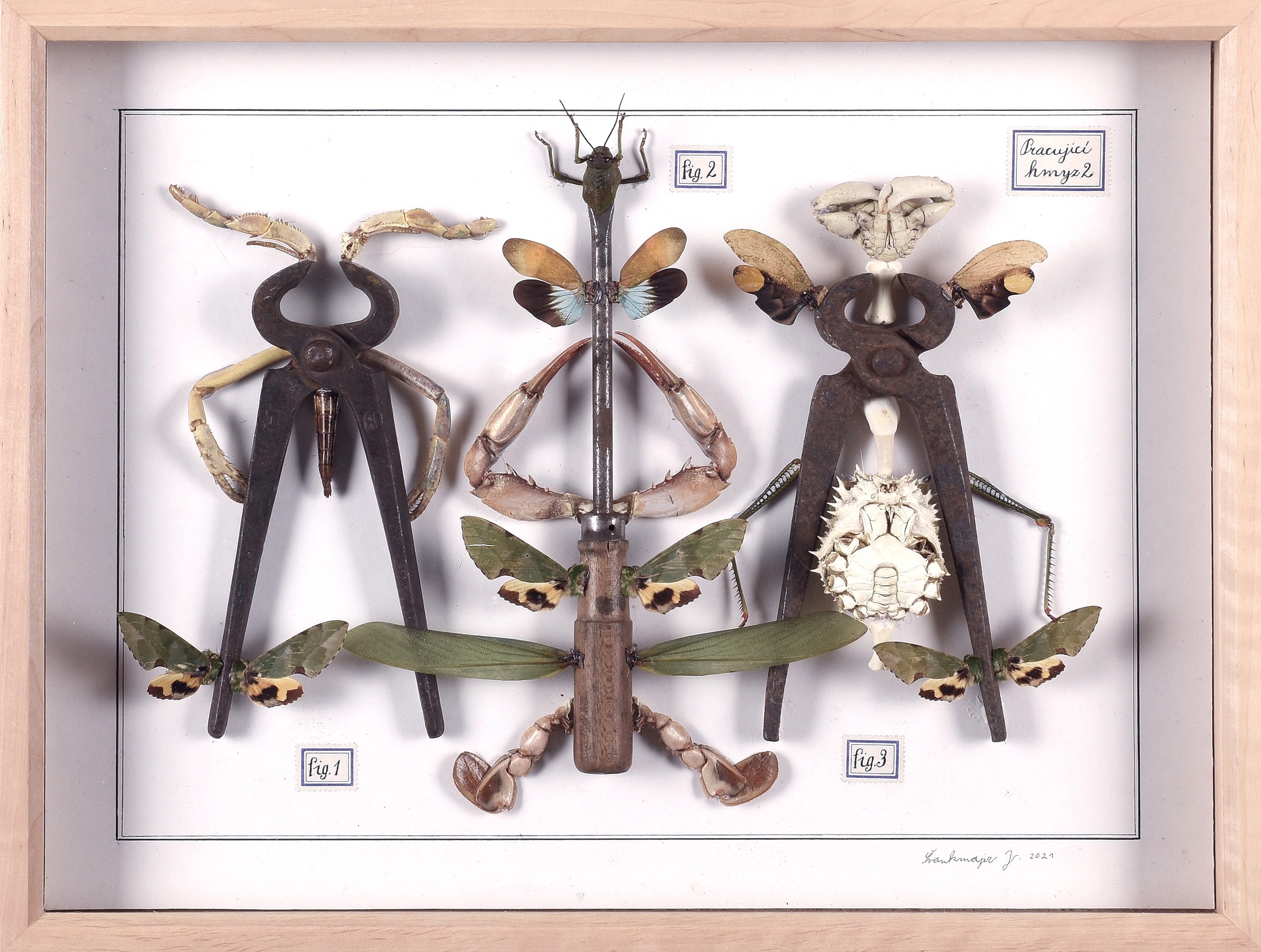 Jan Švankmajer | 327 Artworks at Auction | MutualArt