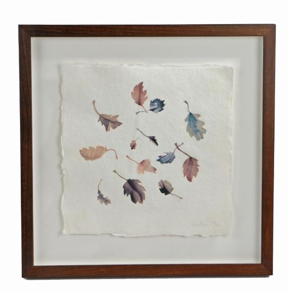 Leaf study by Jonathan Yeo