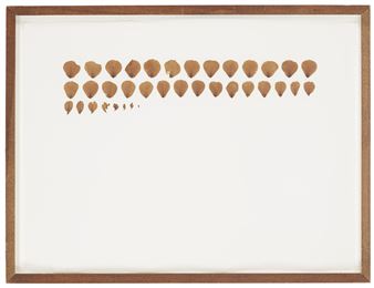 Disección Real No. 33 - Roberto Obregón