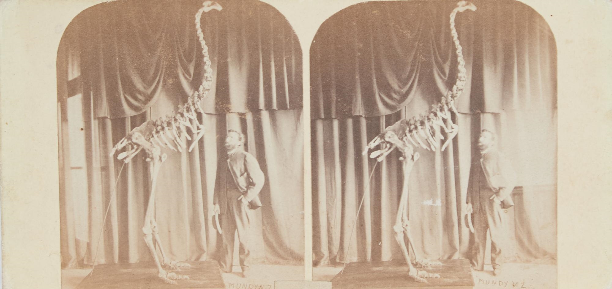 Daniel Louis Mundy | Julius Haast with Moa Skeleton (1867) | MutualArt