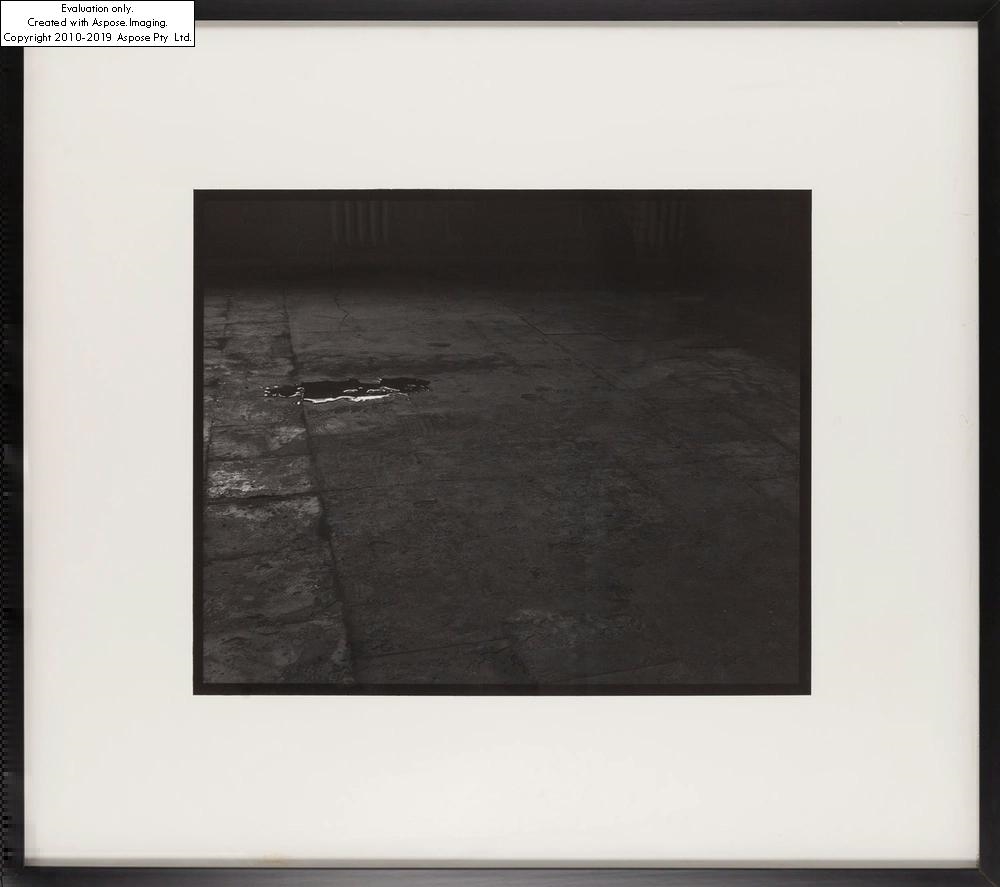 Artwork by Mikołaj Smoczyński, The Secret Performance II, Made of gelatin-silver print, vintage print/photographic paper