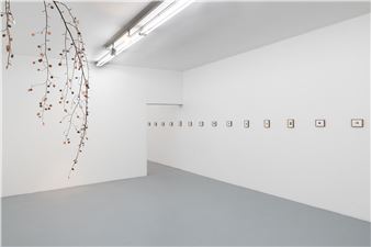 Wilfredo Prieto: Rama De Monedas - Galleria Massimo Minini