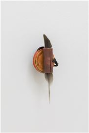 David Fesl at Adz Gallery