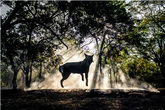 Spring Group Exhibition - Glen Carlou Gallery