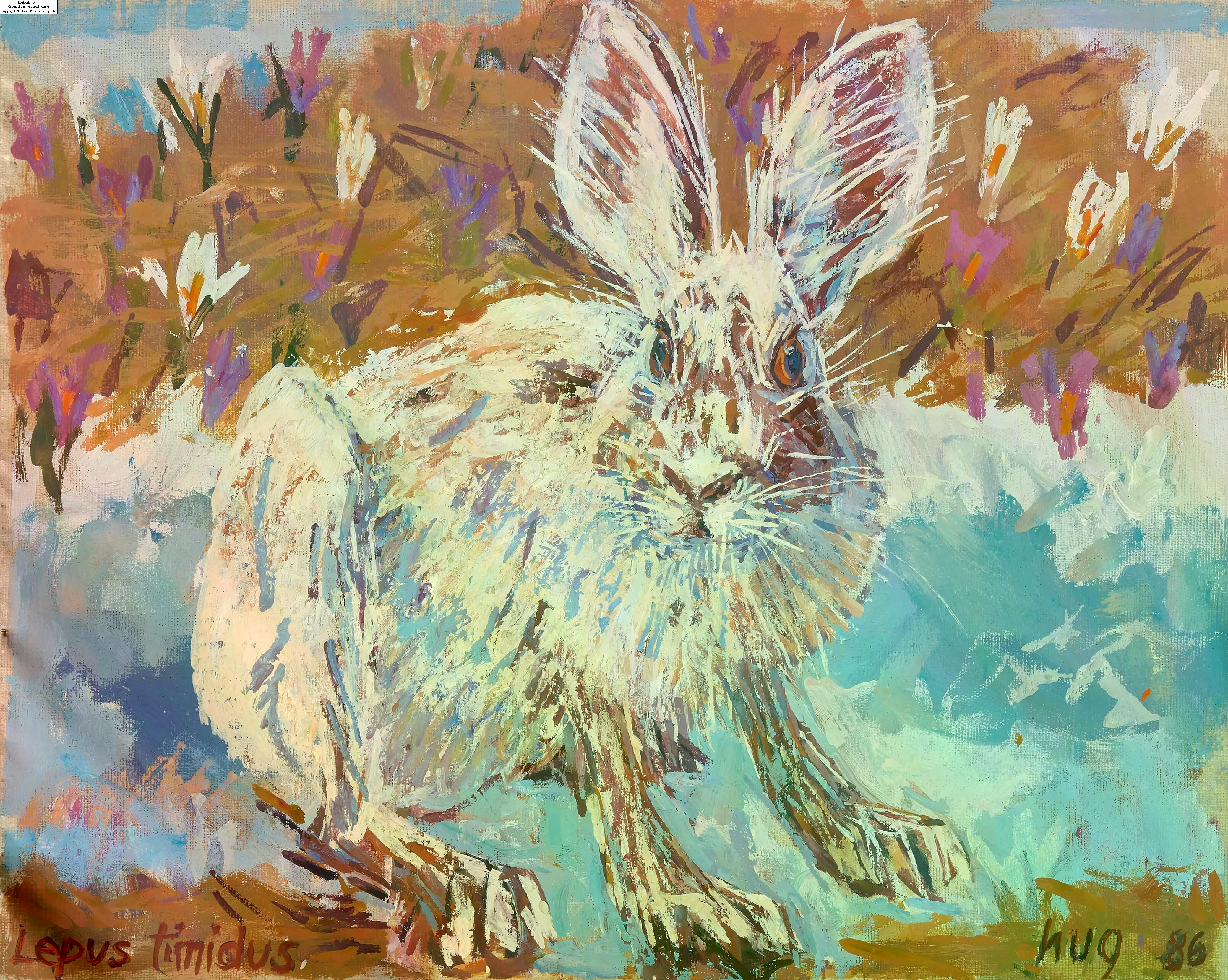 Fritz Rudolf Hug | Lepus timidus (1986) | MutualArt