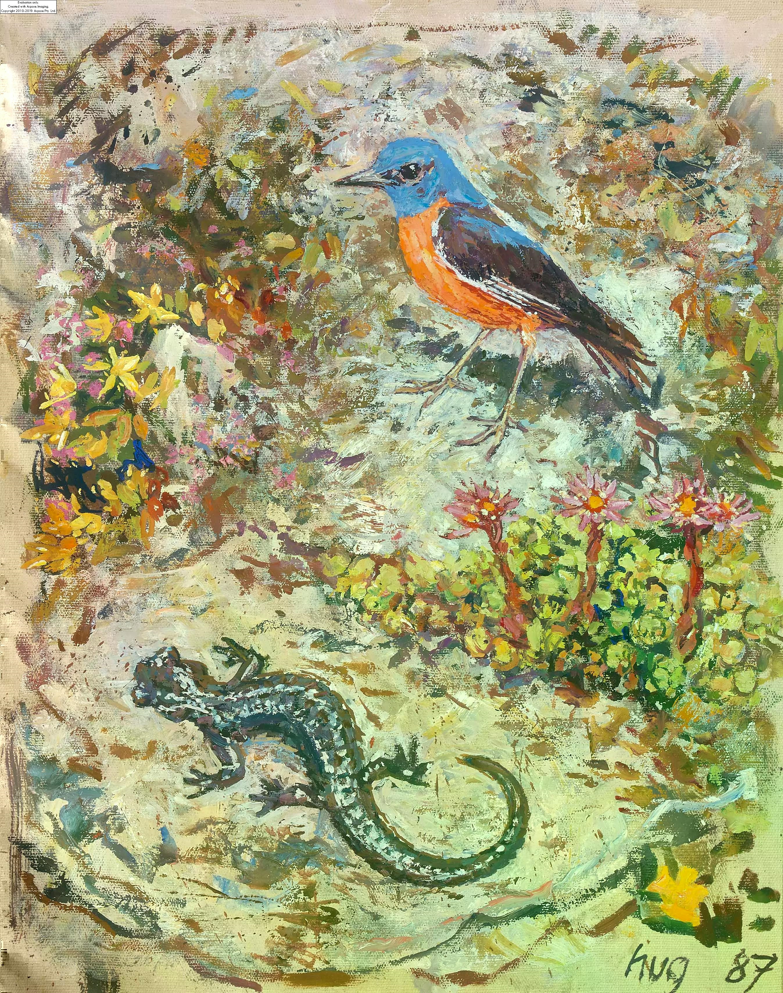 Steinrötel und Salamander by Fritz Rudolf Hug, 1987