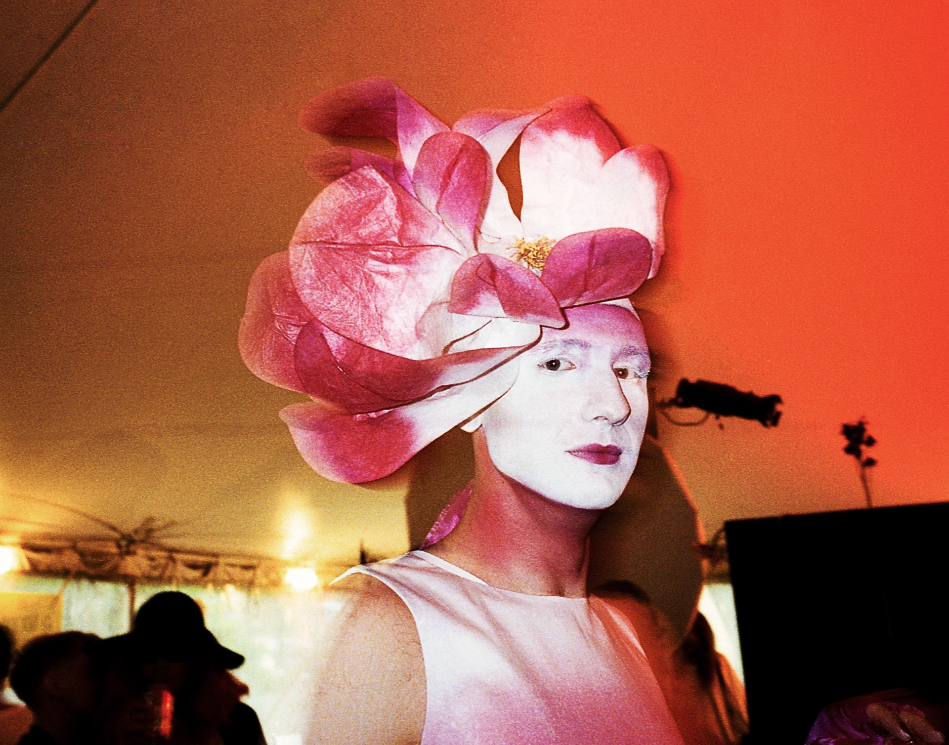 ONLINE: Elizabeth Waterman: Gorgeous Drag at Albumen Gallery