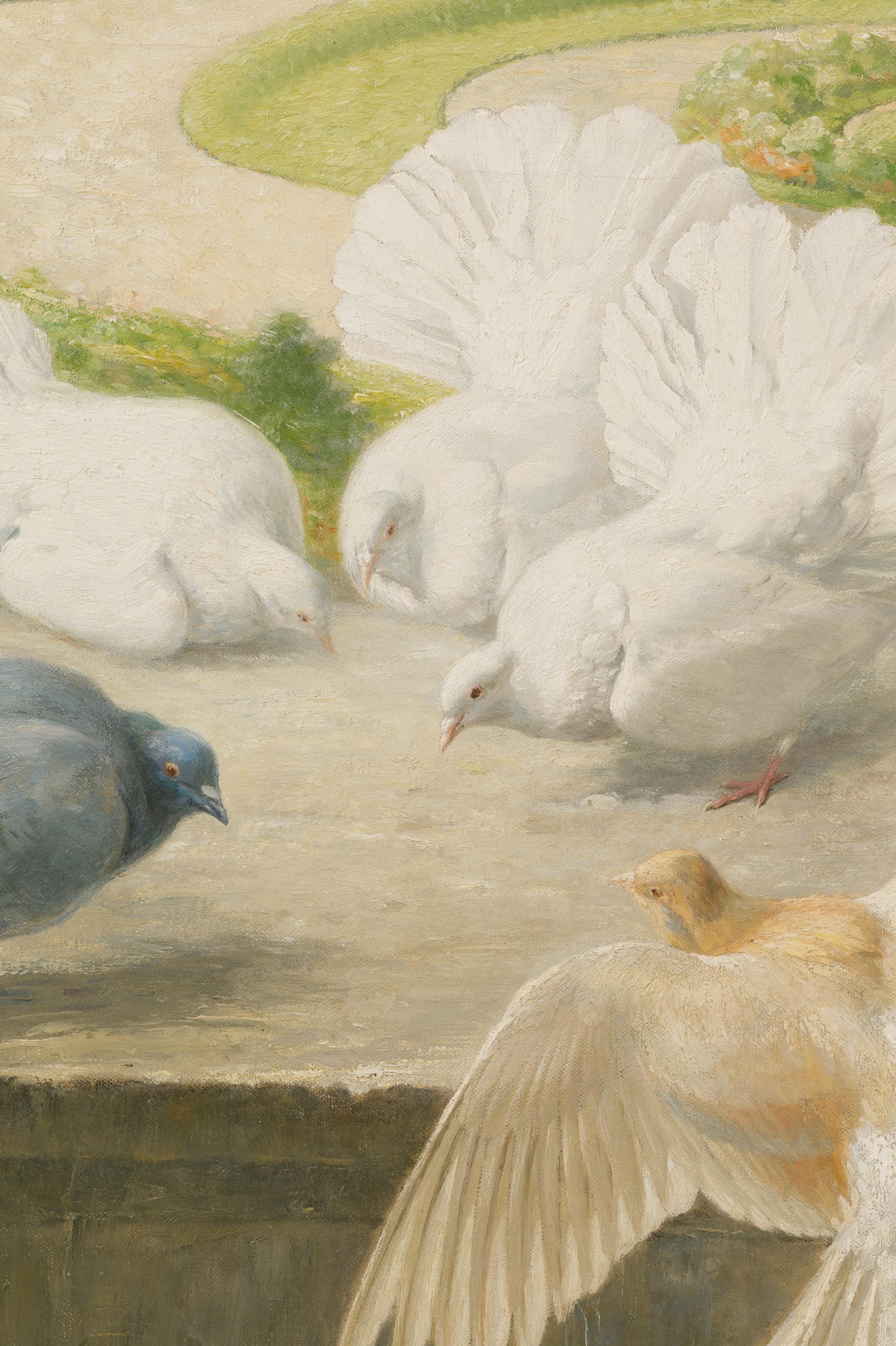 Henri Colen | Pigeons at the Antwerp Royal Museum of Fine Arts' garden ...