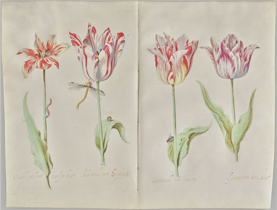 Dutch Drawings from a Collector’s Cabinet - Getty Center
