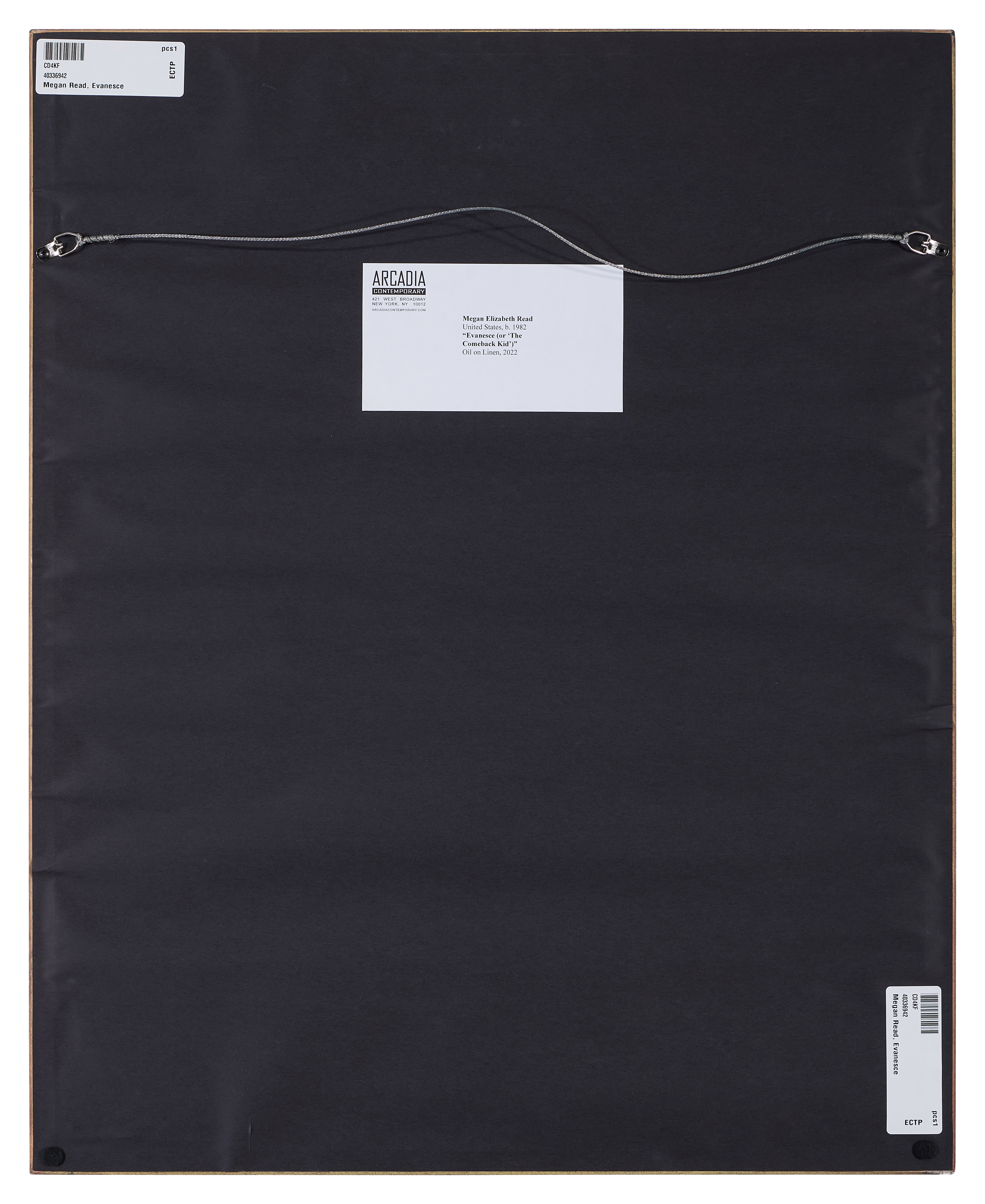 Artwork by Megan Read, Evanesce (The Comeback Kid), Made of oil on linen