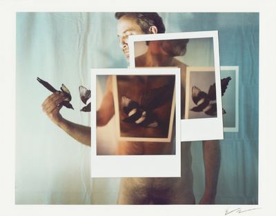 Evergon: Theatres of the Intimate - Musée National des Beaux-Arts du Québec