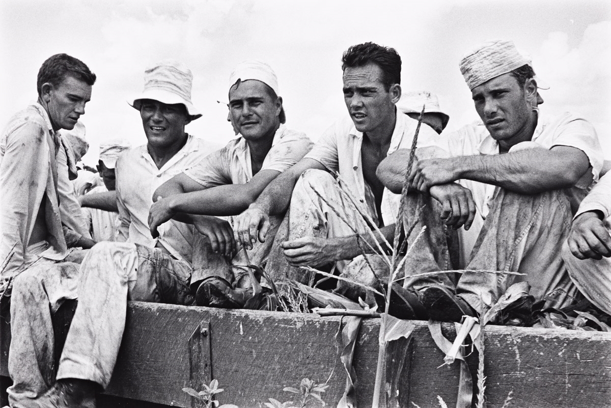 Danny Lyon | Ramsey Prison Farm, Texas. | MutualArt