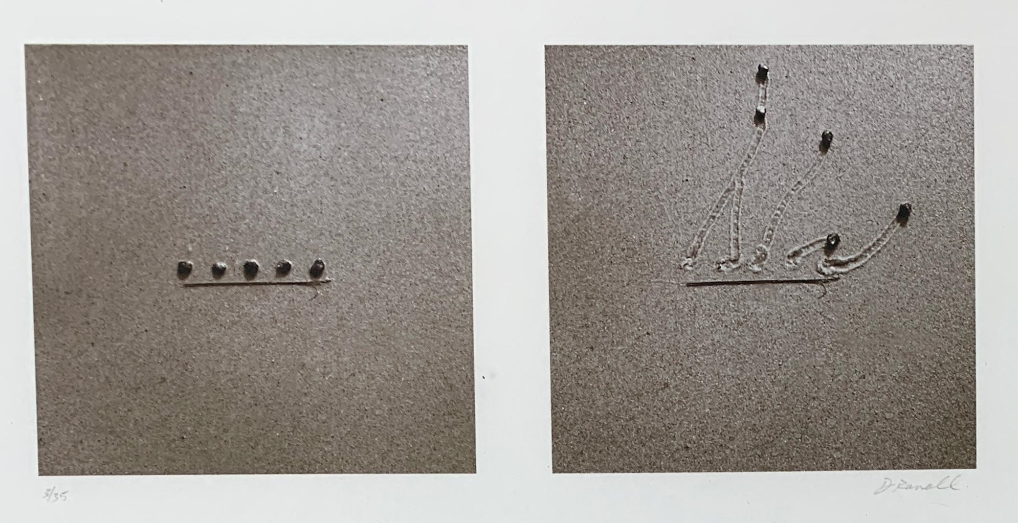 Daniel Ranalli | Snails | MutualArt
