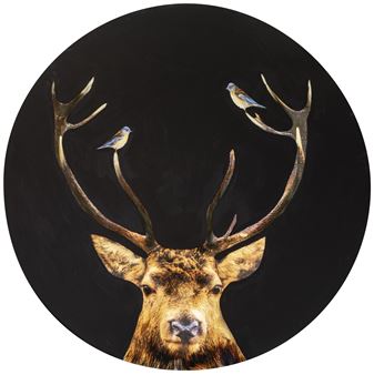 Kollabs: Flora and Fauna - Blue Gallery