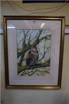 'Buzzard'; 'Tawny Owl' - Ian Hudson