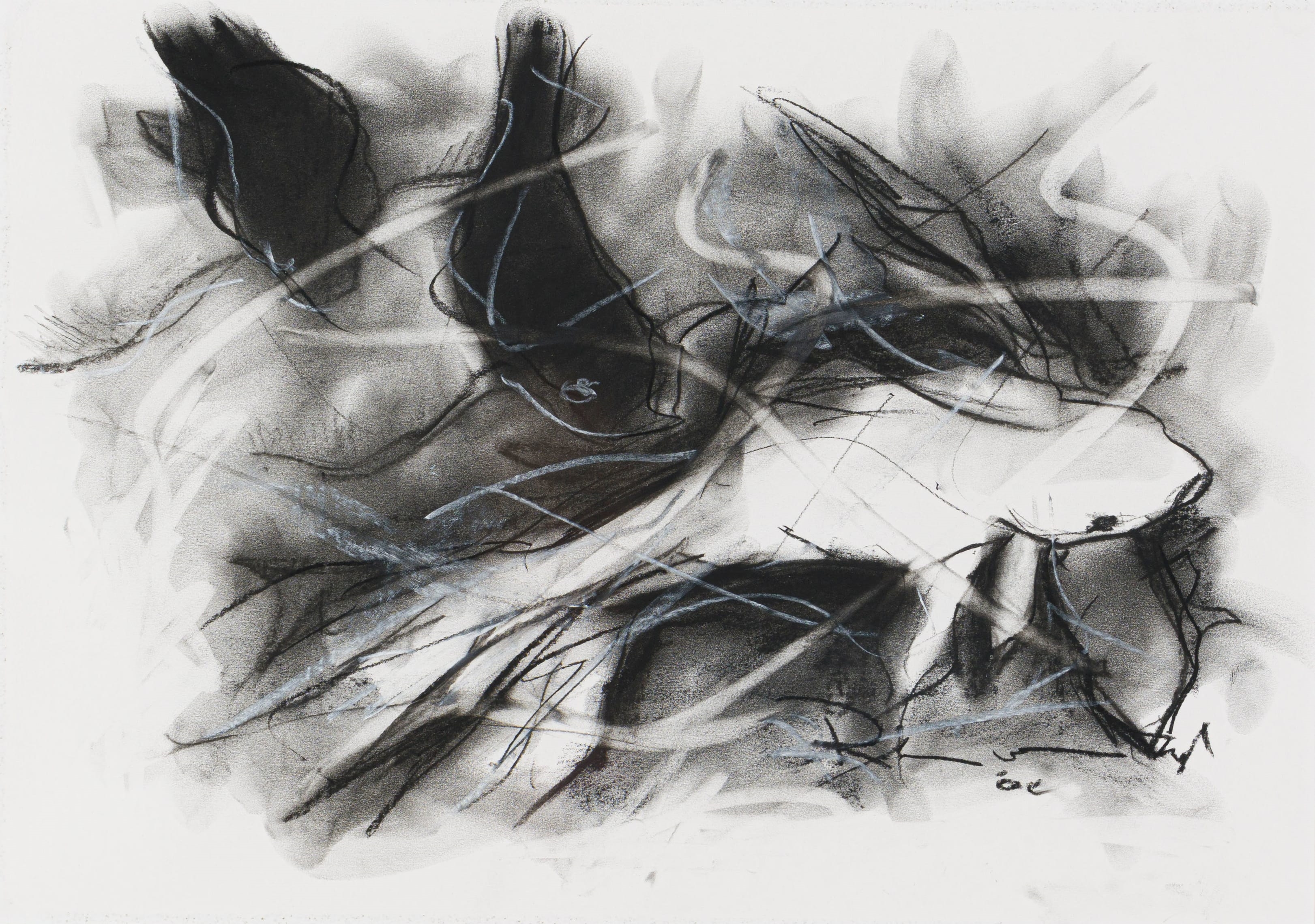 Artwork by Riaan van Zyl, Gold Fish I, Made of charcoal and pastel on paper